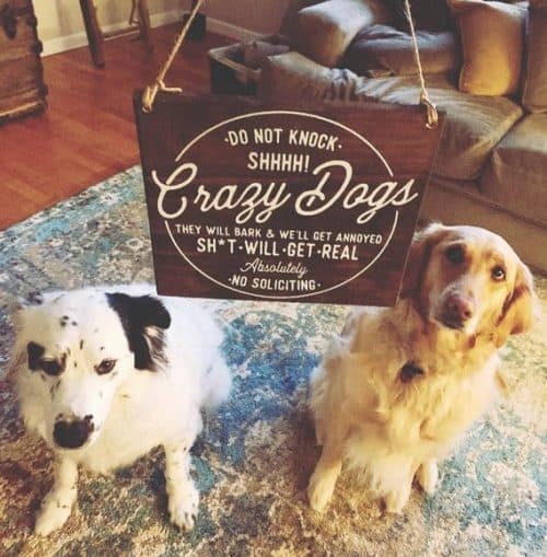 No Soliciting Sign, Baby Sleeping Sign 8x7, Protective Dog Sign, Crazy Dog Sign, Do Not Disturb Sign, Barking Dog Sign, Baby Signs - Image 2