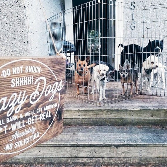 No Soliciting Sign, Baby Sleeping Sign 8x7, Protective Dog Sign, Crazy Dog Sign, Do Not Disturb Sign, Barking Dog Sign, Baby Signs - Image 3